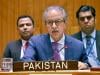 Pakistan flags Hormuz crisis as threat to global trade and stability at Security Council