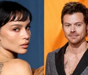 Harry Styles and Zoe Kravitz take major step after 8 months of dating