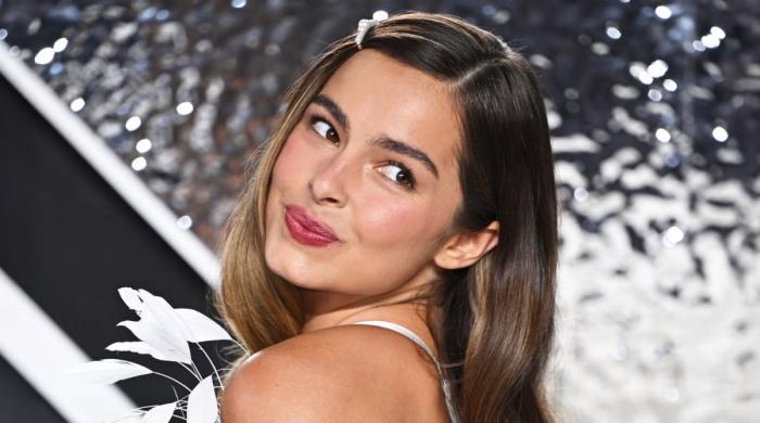 Addison Rae's father arrested under major alleged felony