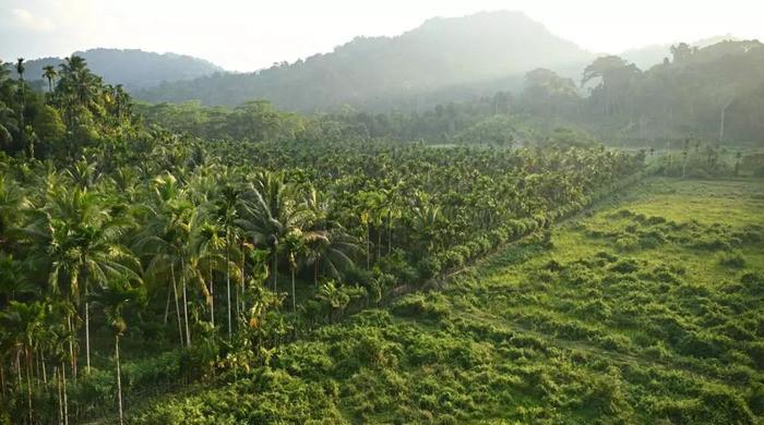 Indian opposition slams Nicobar megaport plan as 'destruction'