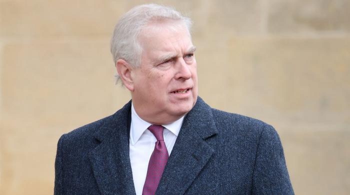 Andrew Mountbatten-Windsor holds breath as new details emerge: 'shocking'