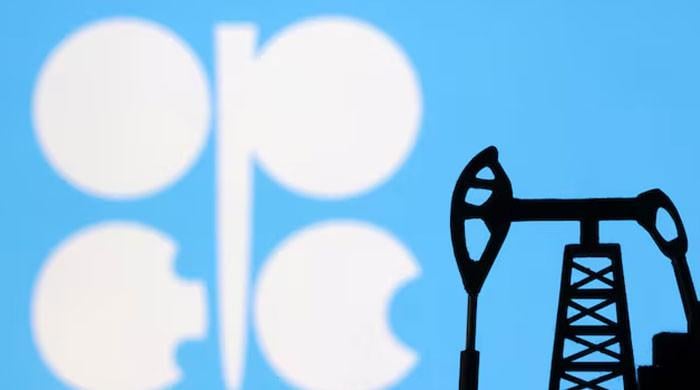UAE reviewing multilateral ties after Opec exit but rules out more departures, says official