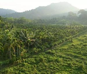 Indian opposition slams Nicobar megaport plan as 'destruction'