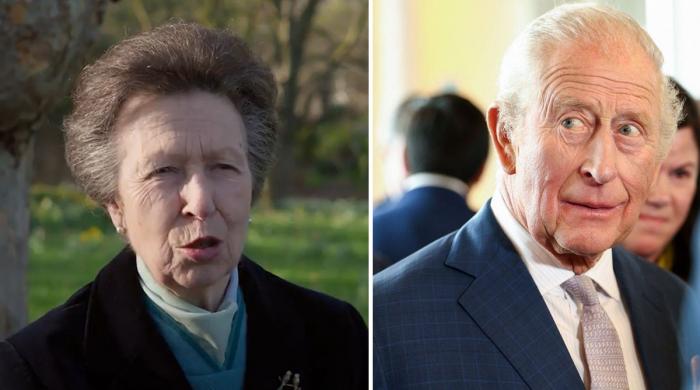 Princess Anne makes video appearance to send key message in King's absence