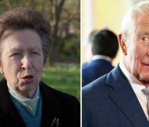Princess Anne makes video appearance to send key message in King's absence