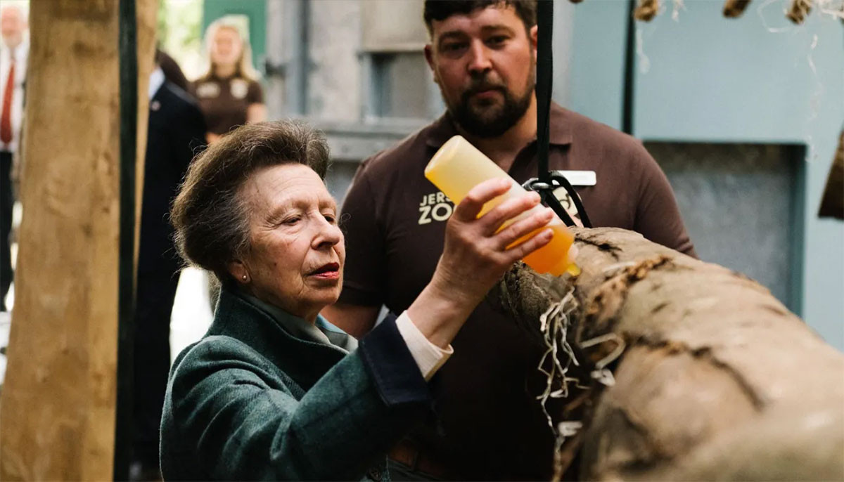 Princess Anne launches Jersey Zoo's new Gorilla home