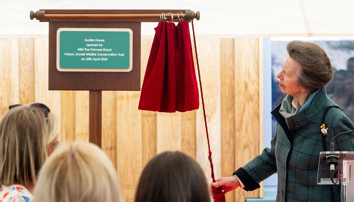 Princess Anne launches Jersey Zoos new Gorilla home