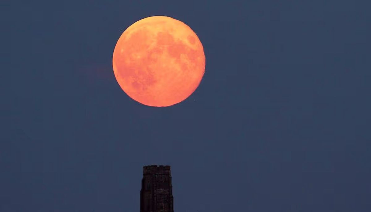 May's ‘Flower Moon'  is set to appear smaller in size with yellow-orange hue: Here's why