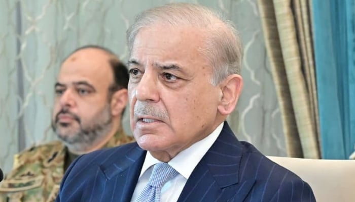 Prime Minister Shehbaz Sharif addresses a special meeting of the federal cabinet in Islamabad, April 13, 2026. — Online