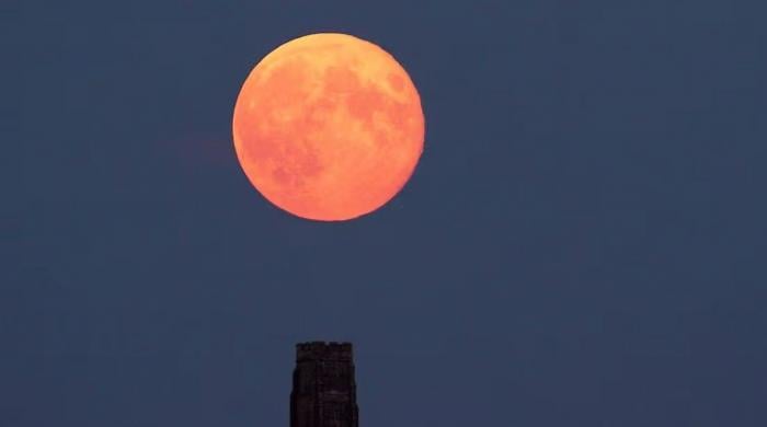 May's ‘Flower Moon'  is set to appear smaller in size with yellow-orange hue: Here's why