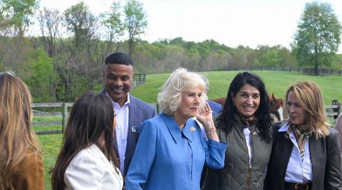 Queen Camilla hailed as 'protective wife' for shielding King Charles from bee