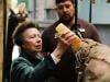 Princess Anne launches Jersey Zoo's new Gorilla home