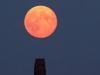 May's ‘Flower Moon'  is set to appear smaller in size with yellow-orange hue: Here's why