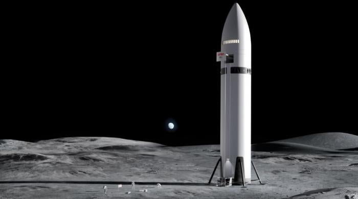 SpaceX Starship's real cost revealed: How much Musk has spent to send humans to Mars