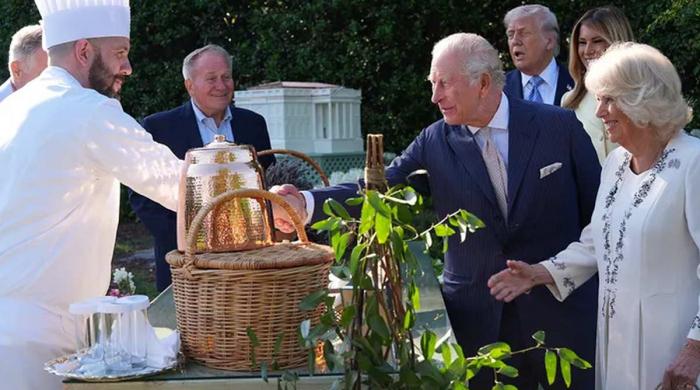 Melania Trump pokes fun at King Charles, Queen Camilla