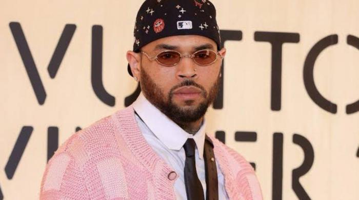 Chris Brown mansion incident raises alarm as gunfire reported outside property