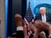 White House declares Iran war 'terminated' as Trump admin sidesteps War Powers deadline