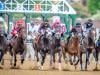Kentucky Derby 2026: Wide-open field, rising contenders, shifting odds at Churchill Downs