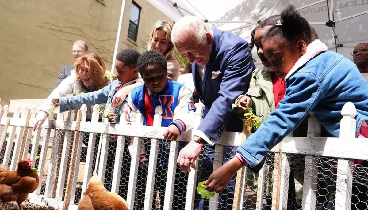King Charles wins hearts in New York with sweet compliment