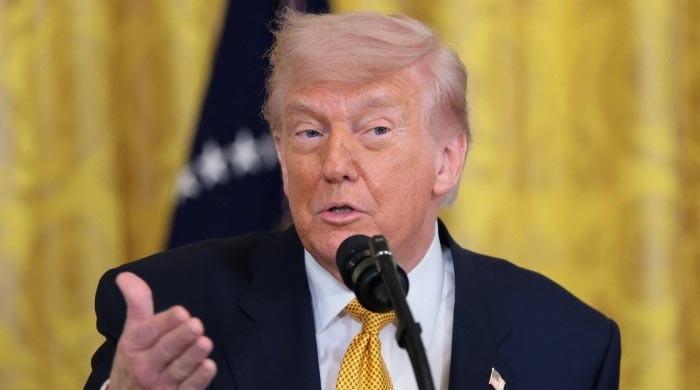 Trump reversed Hormuz ship escort plan after Saudi blocks US base, airspace access: report