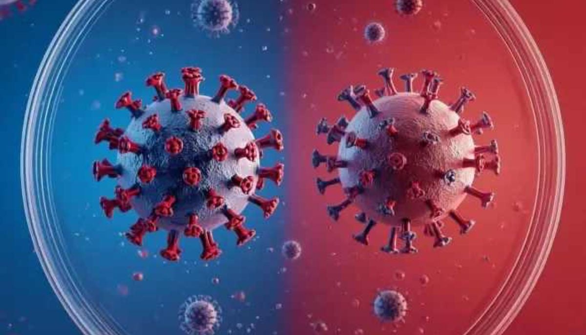 Hantavirus is not like COVID-19 pandemic: Here are key differences you must know