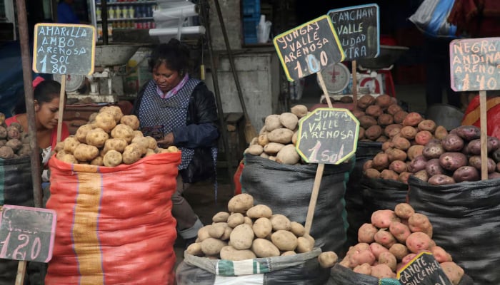 A woman sells potatoes at La Parada market in La Victoria district of Lima, Peru, June 14, 2017. — Reuters