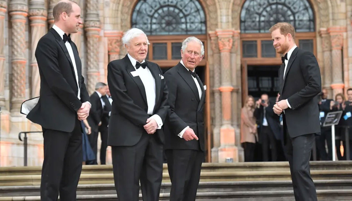Prince Harry pays homage to key figure who 'inspires' Prince William