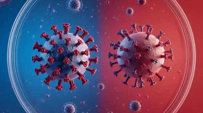 Hantavirus is not like COVID-19 pandemic: Here are key differences you must know