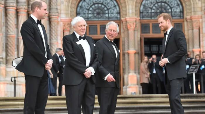 Prince Harry pays homage to key figure who 'inspires' Prince William