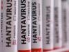 WHO warns of more hantavirus cases in 'limited' outbreak