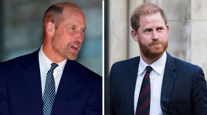 Prince William talks ‘rare privilege' after Harry's moving essay