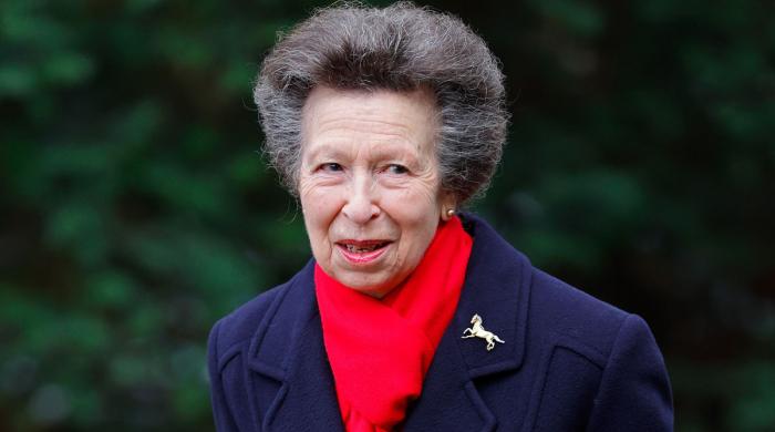 Princess Anne kicks off next phase of key project amid new royal crisis