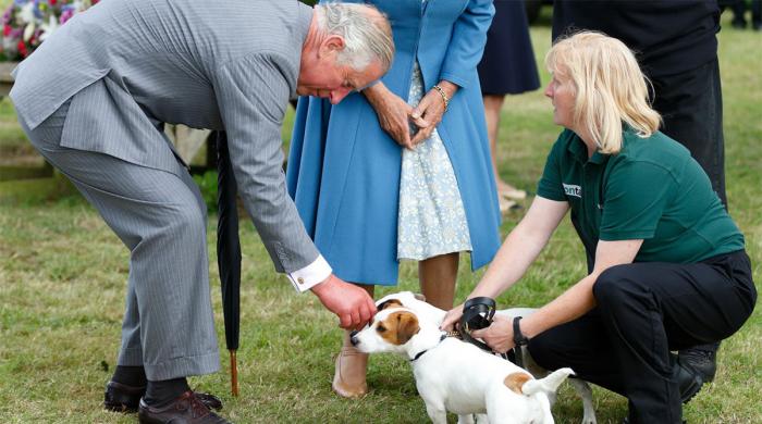 King Charles pens centenary letter for eagles to deliver the message