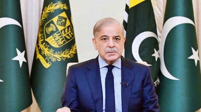 Pakistan seeks peace but resolute in defending sovereignty: PM Shehbaz