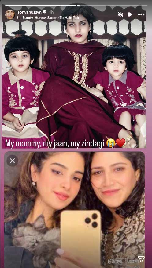 Pakistani celebs join in Mothers Day festivities