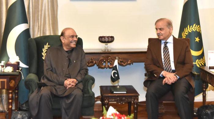 In meeting with PM Shehbaz, President Zardari urges relief for common man