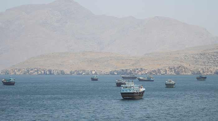 Tens of millions risk hunger as Hormuz standoff blocks fertiliser, says UN official