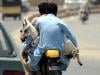 25 sacrificial goats worth Rs1.9m 'stolen' in Karachi