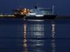 US, French nationals from hantavirus ship test positive