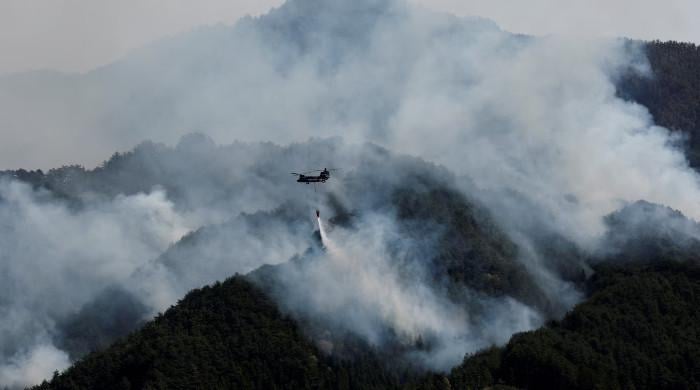 Global fire outbreaks hit record high as 'unprecedented' heat extremes loom, say scientists