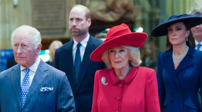 Queen Camilla issues personal statement as King faces health challenge