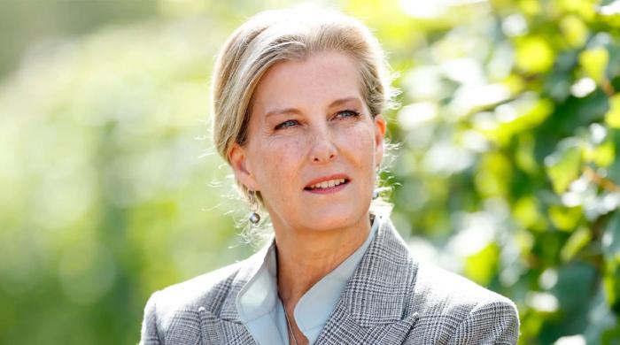 Duchess Sophie leaves UK to perform important role for King Charles  