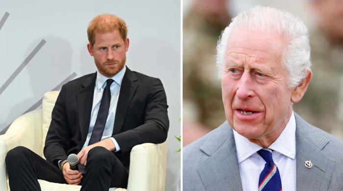 Prince Harry issues statement after King Charles emotional health update