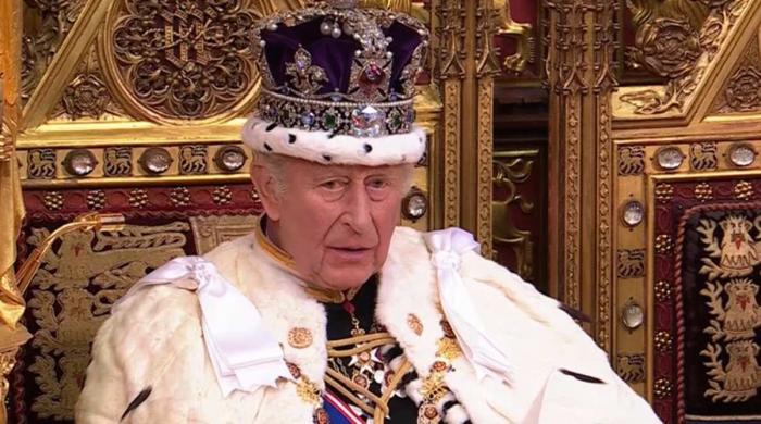 Palace releases stunning video of King Charles as monarch delivers speech