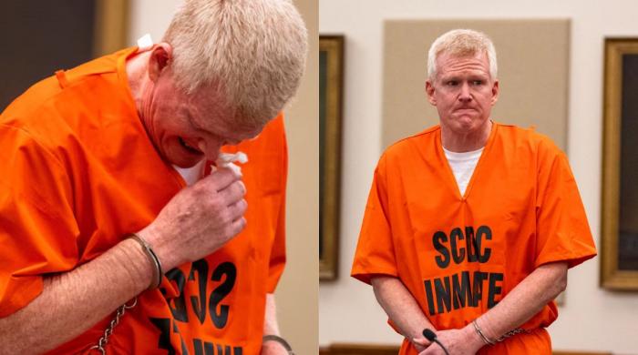 Alex Murdaugh murder conviction reversed: Here's what he was accused of
