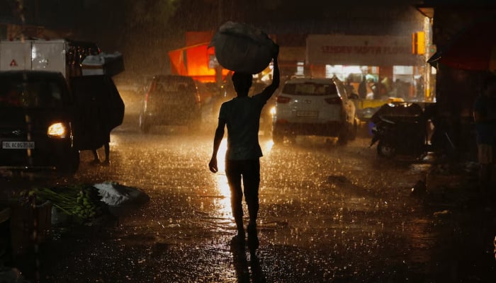 A man carries flowers for sale during rain at a wholesale market in New Delhi, India May 2, 2025. — Reuters