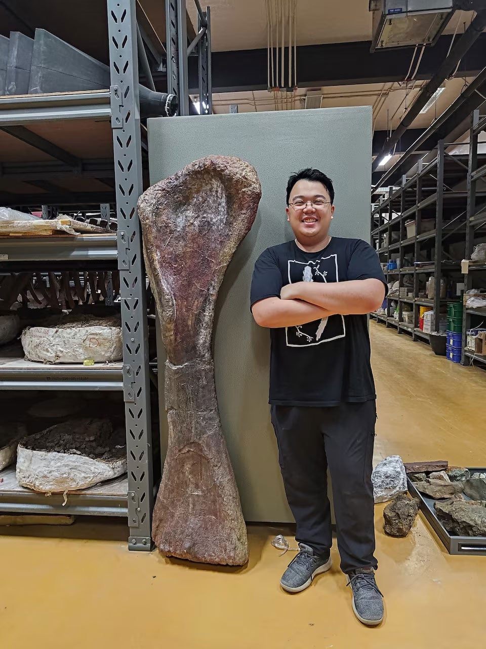 Researcher Thitiwoot Sethapanichsakul poses with a front leg bone, or humerus, of the Cretaceous Period sauropod dinosaur Nagatitan chaiyaphumensis at the Sirindhorn Museum in Kalasin Province, Thailand, in 2024, in a photograph released on May 14, 2026. — Reuters