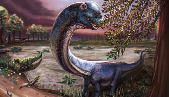 Artist reconstruction of the Cretaceous Period sauropod dinosaur Nagatitan chaiyaphumensis, whose fossils were unearthed in Thailand, seen in this illustration released on May 14, 2026. — Reuters
