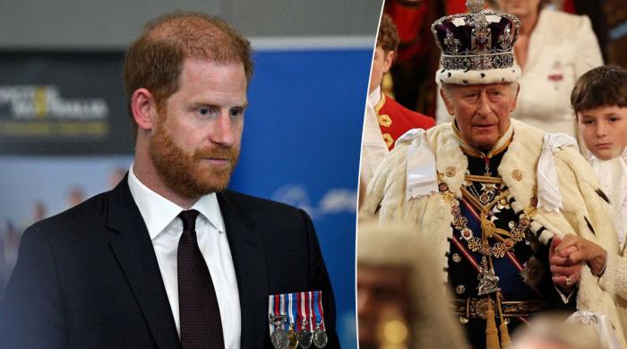 Prince Harry delivers strong message just hours after King's Parliament speech