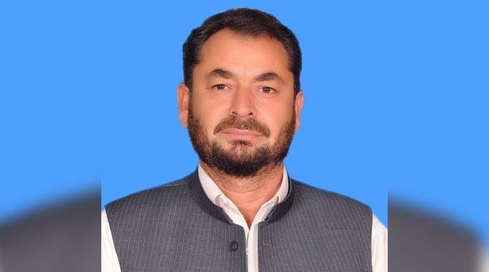 PTI MNA's son sought asylum in Italy after travelling on blue passport: minister